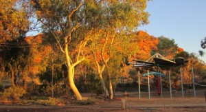 Alice Springs Town Council